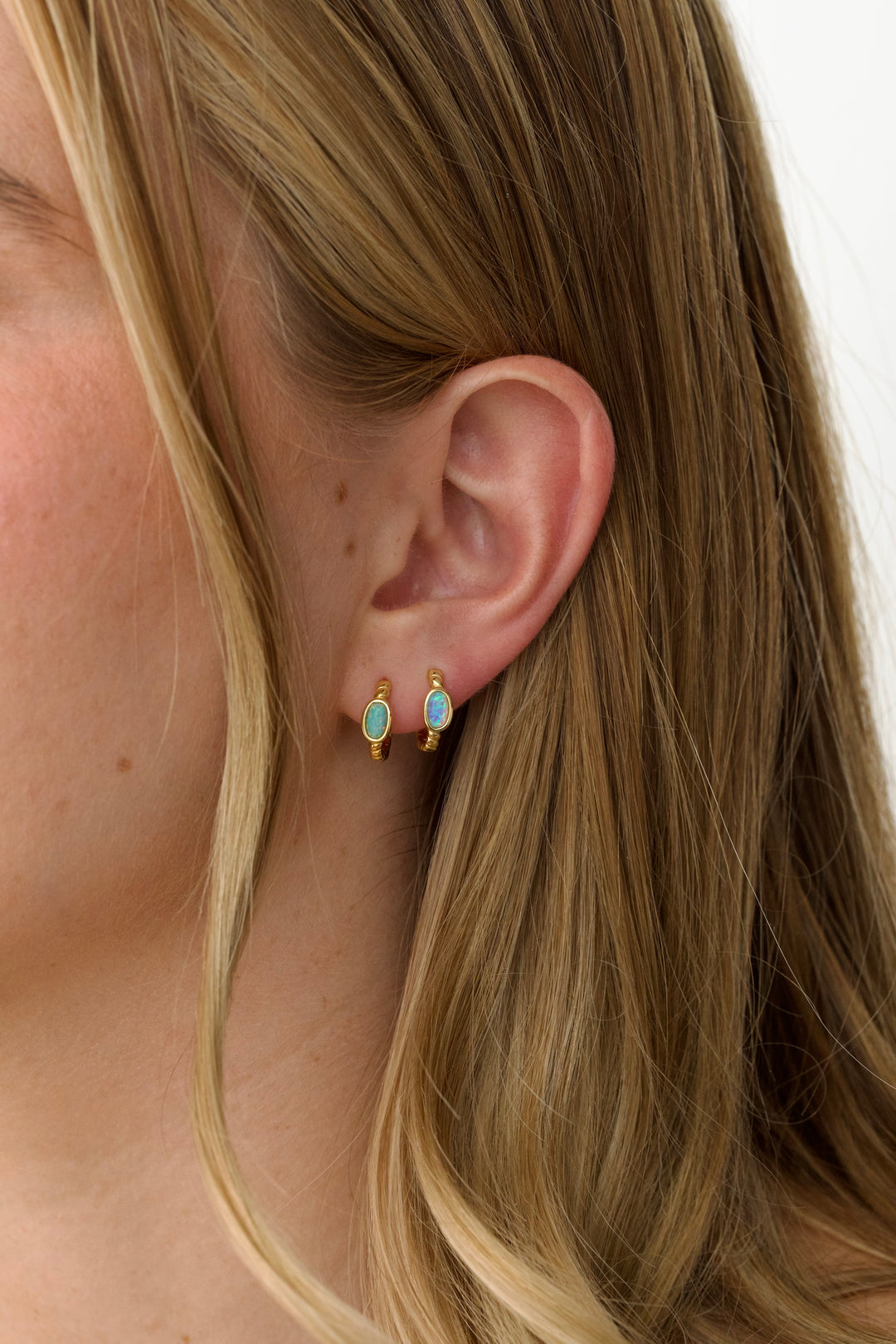 The Gatherers Grove featured image